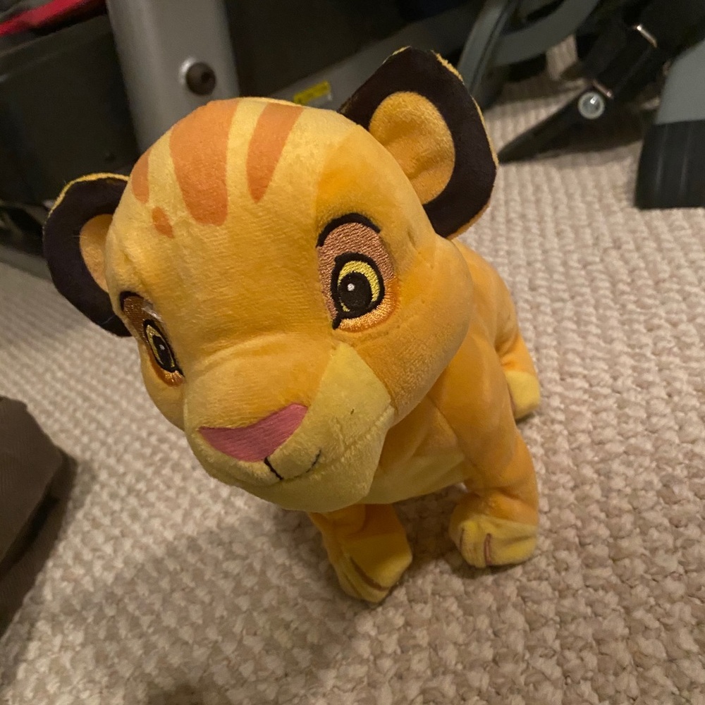 Baby Simba